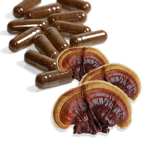 Reishi Mushroom Capsules Black Vegan Shop