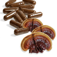 Thumbnail for Reishi Mushroom Capsules Black Vegan Shop